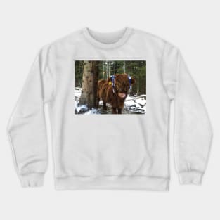 Scottish Highland Cattle Calf 1859 Crewneck Sweatshirt